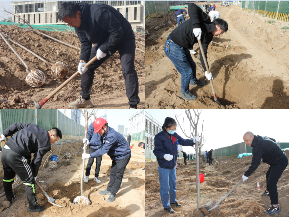 賽特公司開展“栽種新希望，奮進新征程”植樹節(jié)主題活動